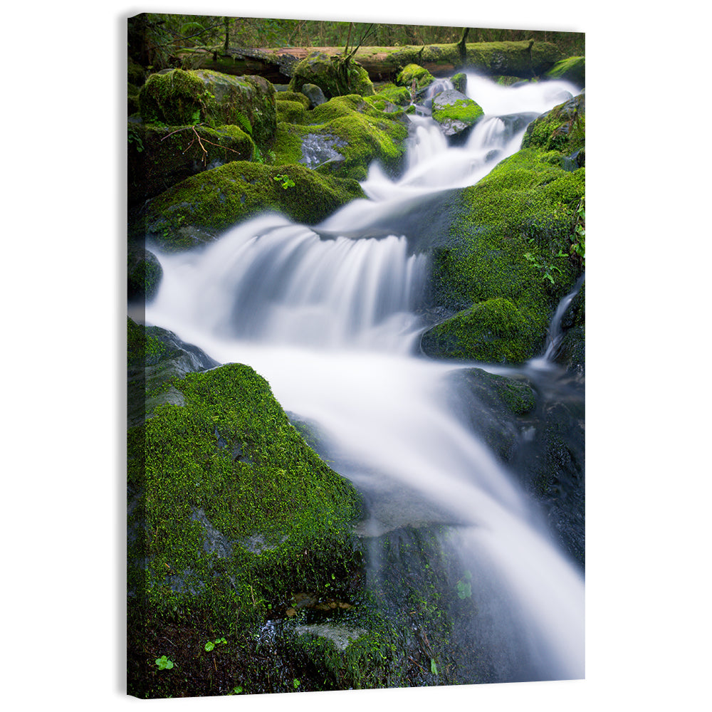 Olympic National Park Waterfall Wall Art