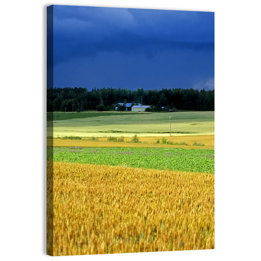 Cornfields Under Stormy Sky Wall Art