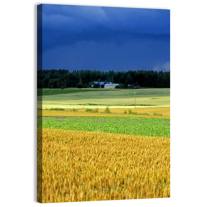 Cornfields Under Stormy Sky Wall Art