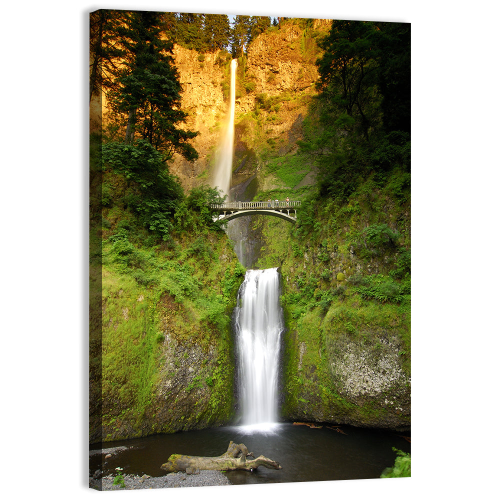 Multnomah Falls at Golden Hour Wall Art, canvas print, portrait