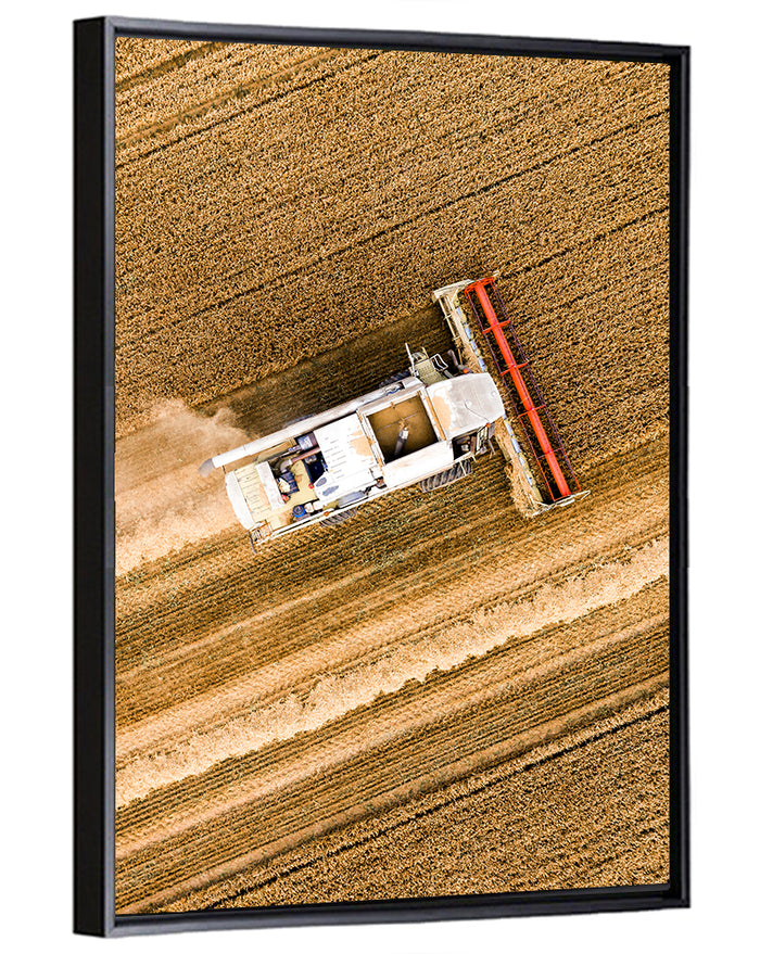 Aerial Combine Over Wheat Field Wall Art as a framed canvas