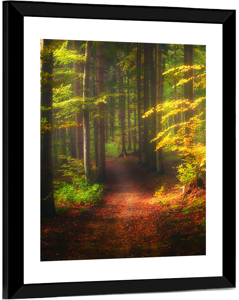 Autumn Forest Pathway Wall Art