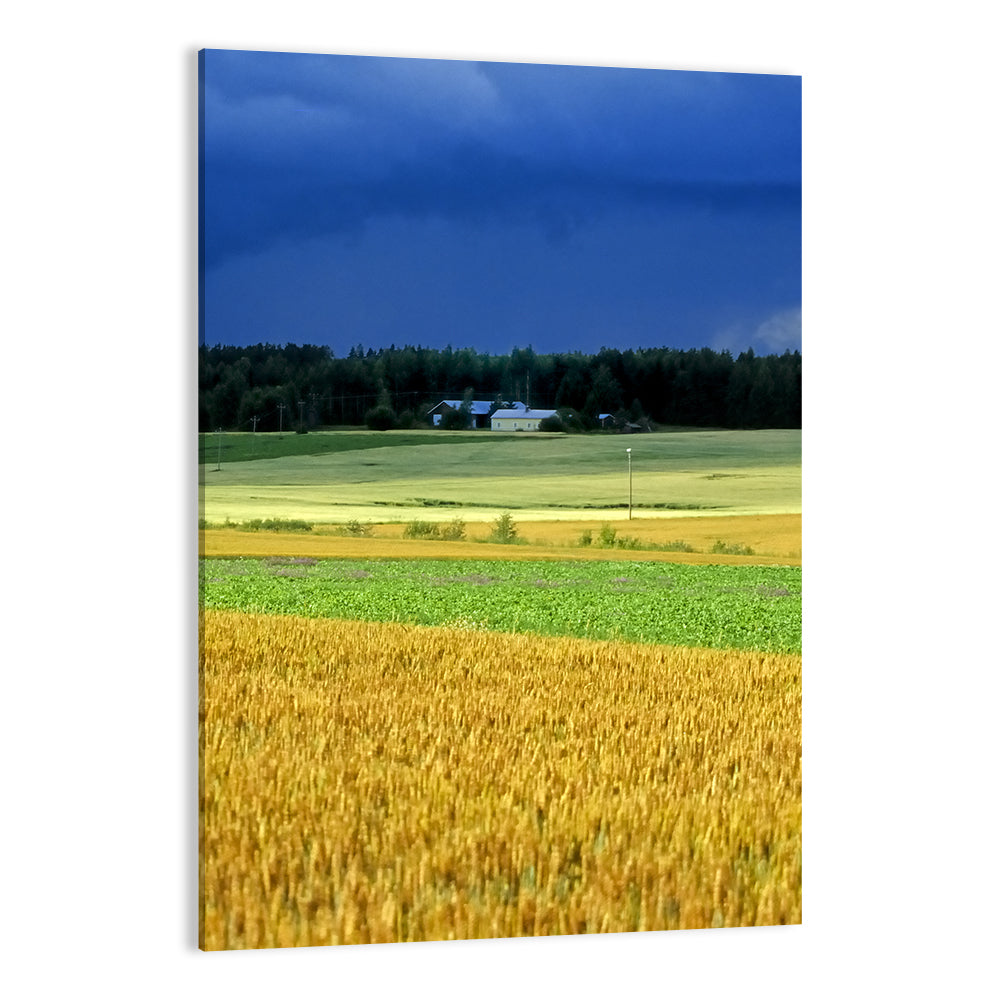 Cornfields Under Stormy Sky Wall Art