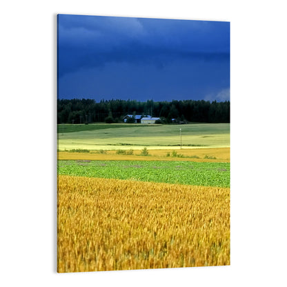 Cornfields Under Stormy Sky Wall Art