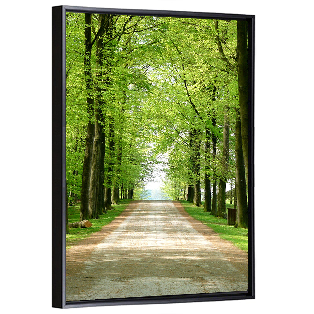 Sunlit Tree-lined Path Wall Art