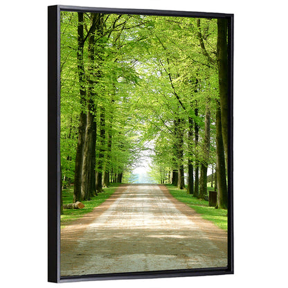 Sunlit Tree-lined Path Wall Art