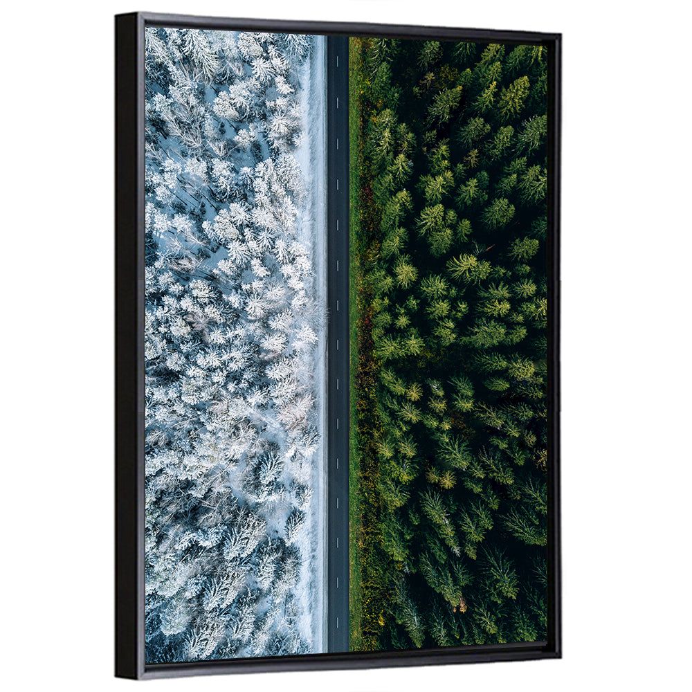 Summer and Winter Forests Wall Art