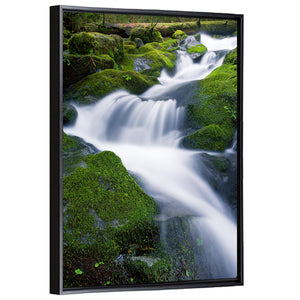 Waterfall in Olympic National Park Wall Art