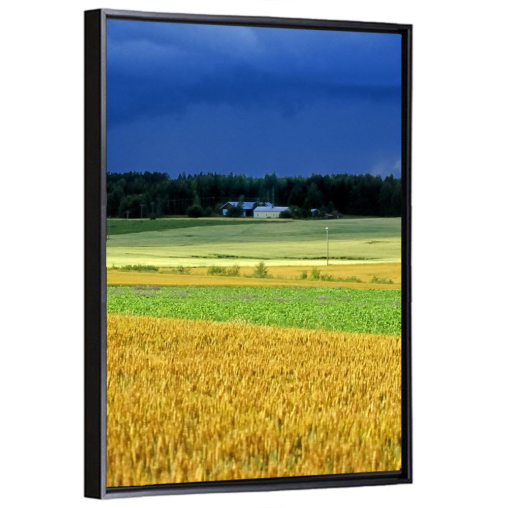 Cornfields Under Stormy Sky Wall Art