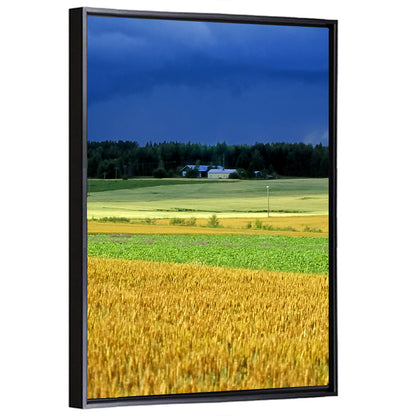 Cornfields Under Stormy Sky Wall Art