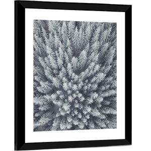 Forest Snowy Trees Wall Art