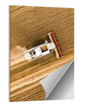 Wheat Field Harvesting Wall Art