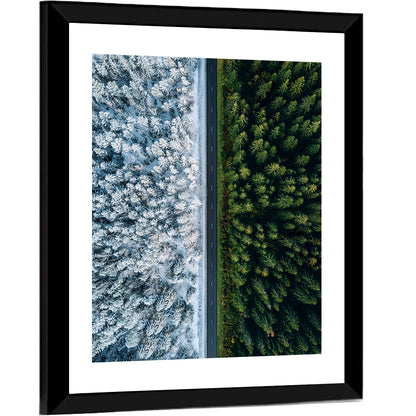 Summer and Winter Forests Wall Art