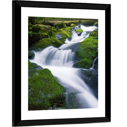 Olympic National Park Waterfall Wall Art