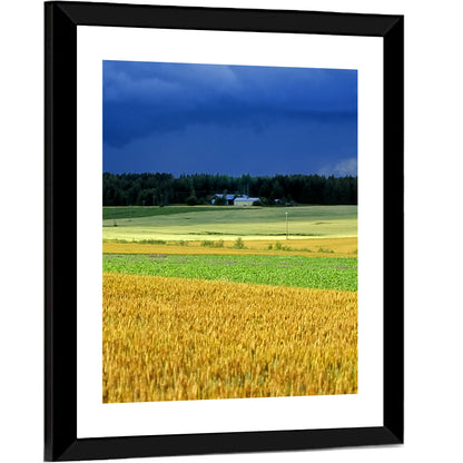 Cornfields Under Stormy Sky Wall Art