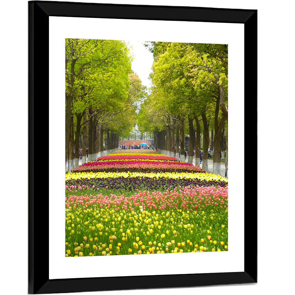 Tree-lined Tulip Garden Path Wall Art