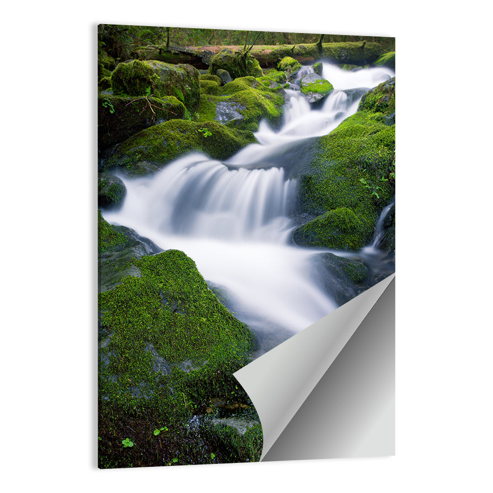Olympic National Park Waterfall Wall Art