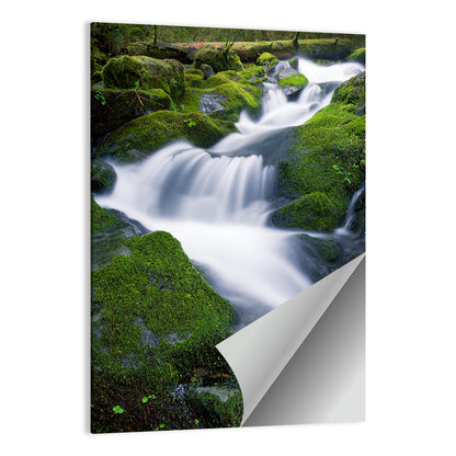 Olympic National Park Waterfall Wall Art