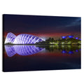 Gardens by the Bay Night Reflection Wall Art