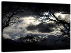 Storm Clouds Over Silhouetted Trees Wall Art