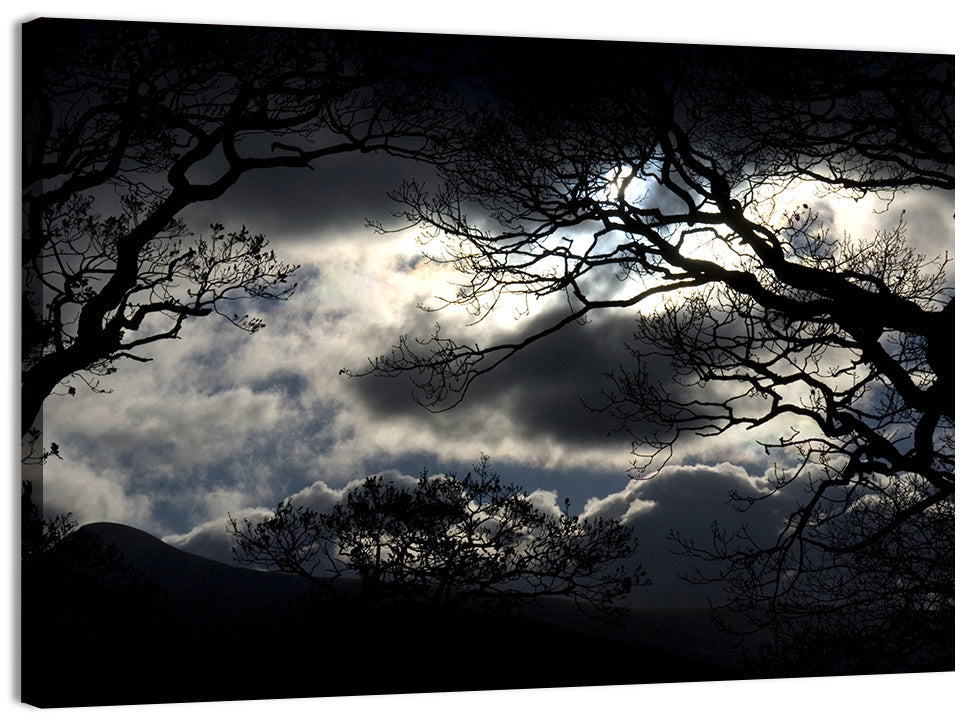 Storm Clouds Over Silhouetted Trees Wall Art