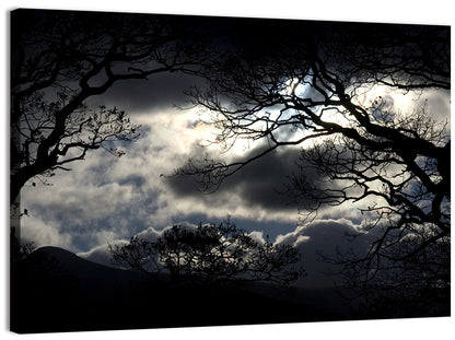 Storm Clouds Over Silhouetted Trees Wall Art