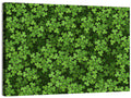 Emerald Shamrock Pattern Illustration Wall Art