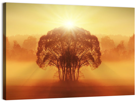 Golden Haze Tree at Sunset Wall Art
