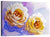 Artistic Roses Couple Wall Art