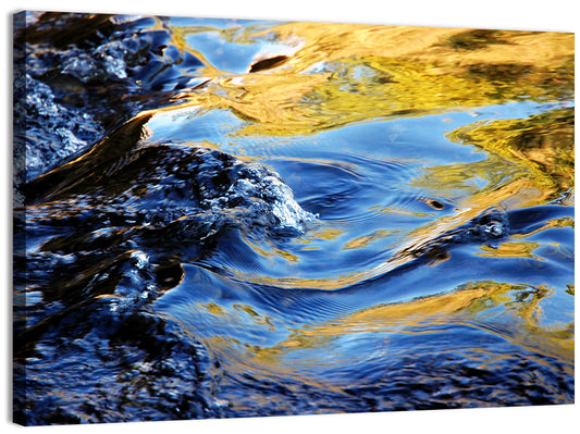 Flowing Stream with Golden Reflections Wall Art