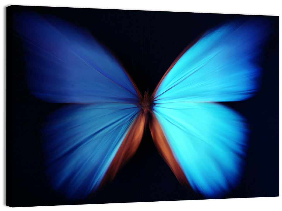 Blue Butterfly Macro Study Wall Art, canvas print, landscape