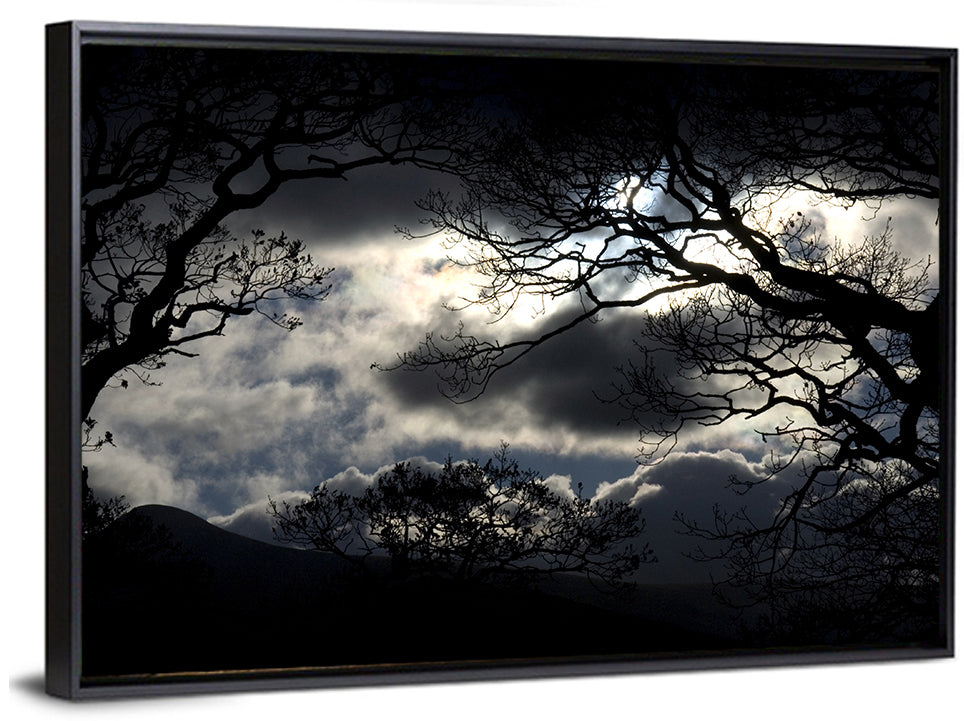 Storm Clouds Over Silhouetted Trees Wall Art