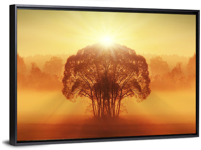 Golden Haze Tree at Sunset Wall Art