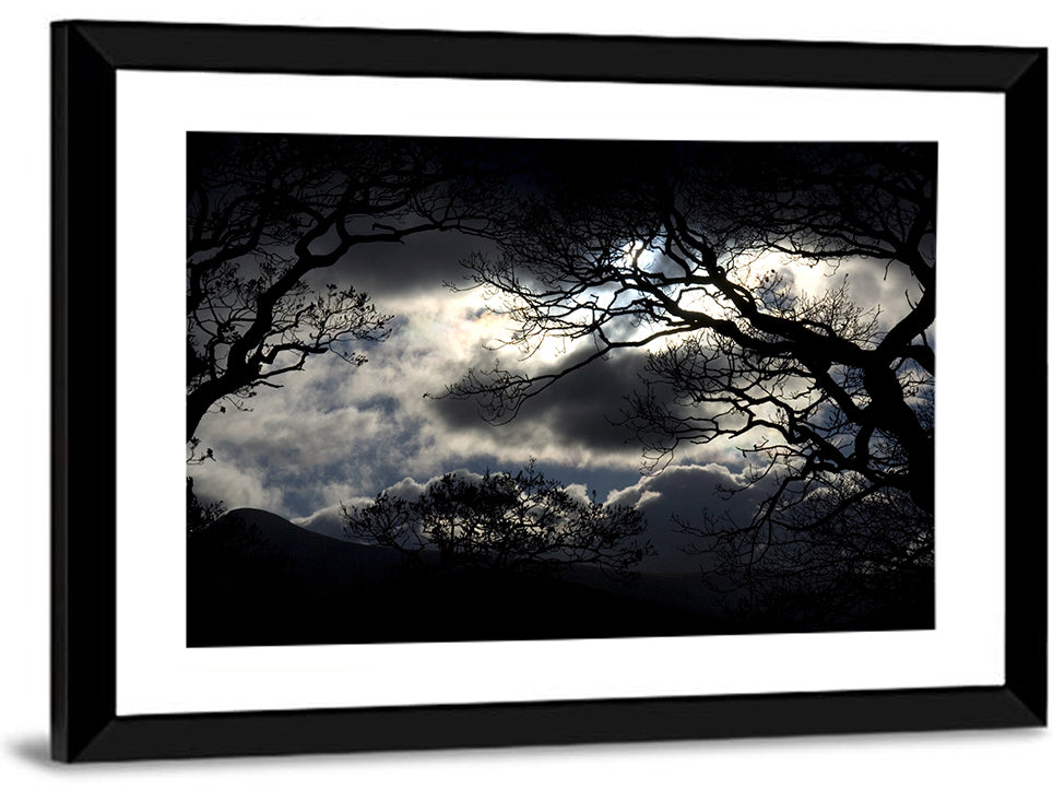 Storm Clouds Over Silhouetted Trees Wall Art