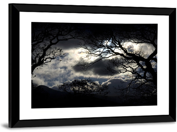 Storm Clouds Over Silhouetted Trees Wall Art as a framed print