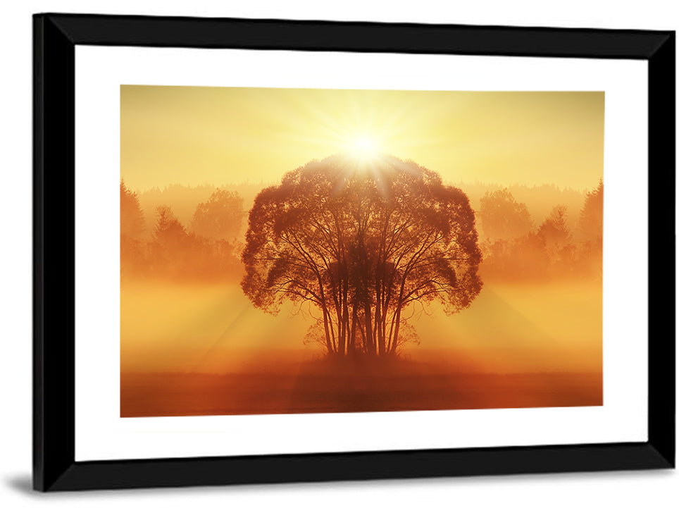 Golden Haze Tree at Sunset Wall Art