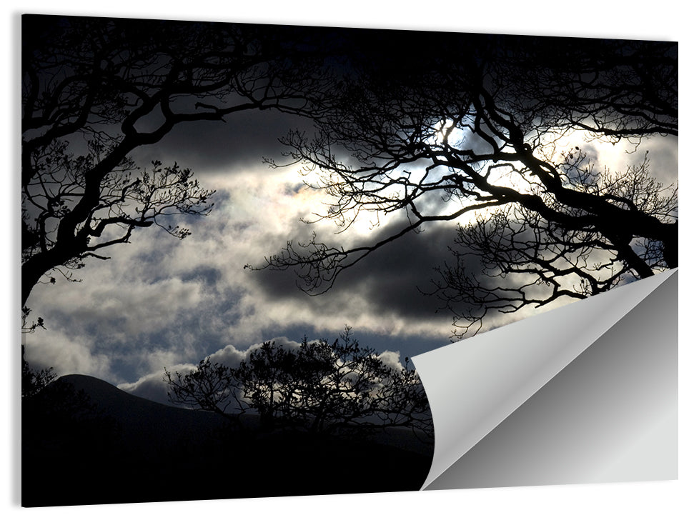 Storm Clouds Over Silhouetted Trees Wall Art