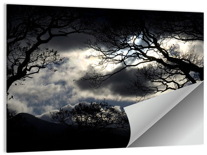 Storm Clouds Over Silhouetted Trees Wall Art