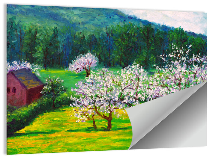 Plum Blossom Illustration Wall Art as a poster print