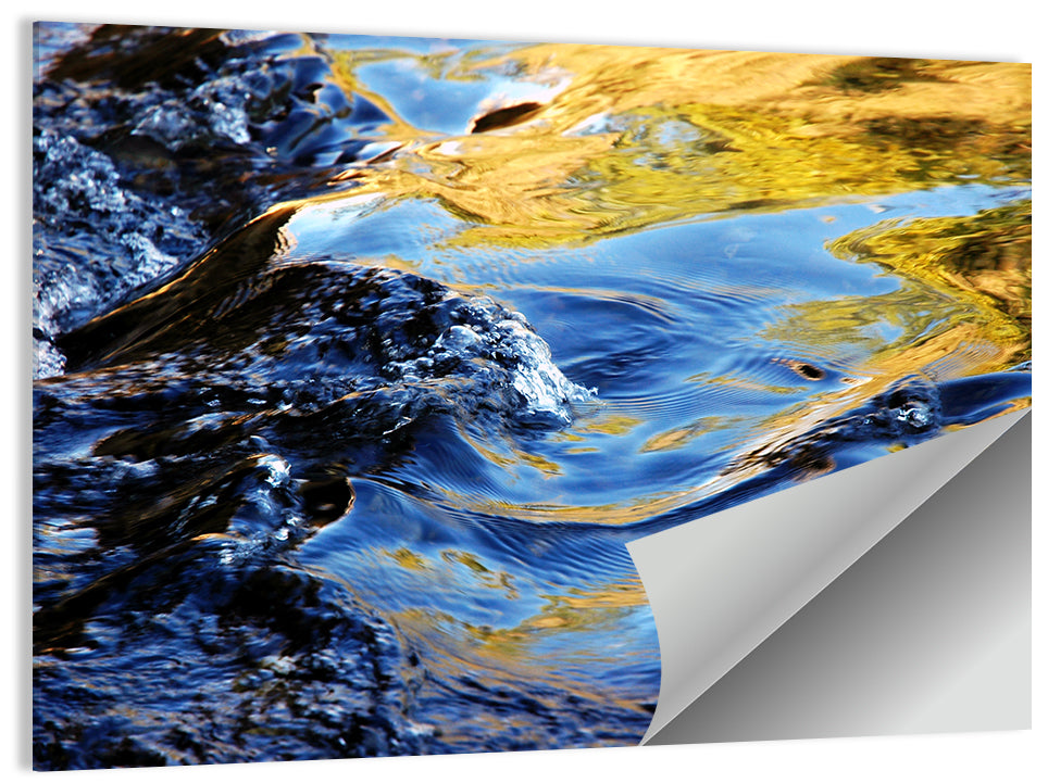 Flowing Stream with Golden Reflections Wall Art