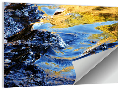 Flowing Stream with Golden Reflections Wall Art