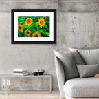 Impasto Sunflower Garden Wall Art