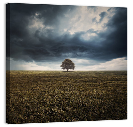 Lone Tree Under Storm Clouds Wall Art