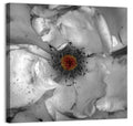 Rose Macro with Color Center Wall Art