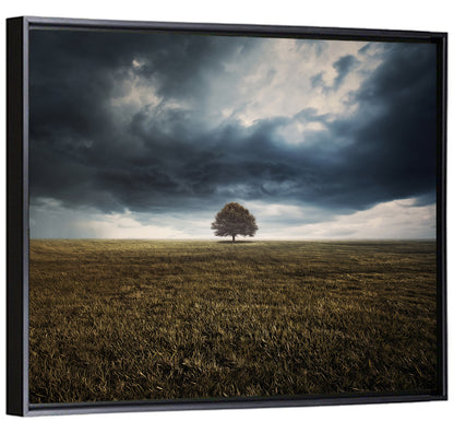 Lone Tree Under Storm Clouds Wall Art