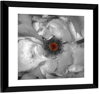 Rose Macro with Color Center Wall Art