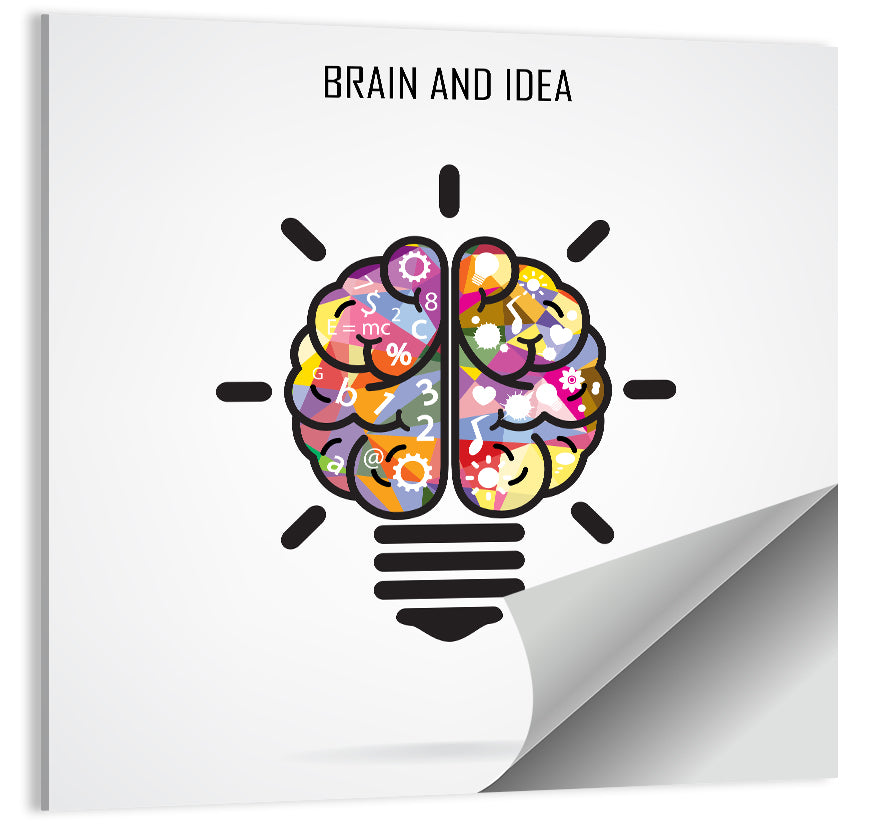Split Brain Lightbulb Illustration Wall Art