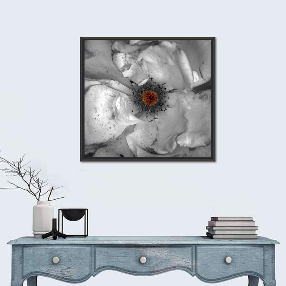 Rose Macro with Color Center Wall Art