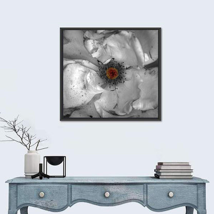 Rose Macro with Color Center Wall Art